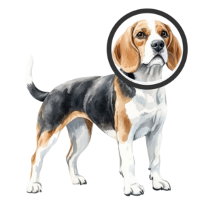 dog2