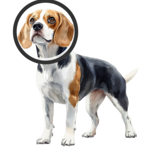 dog4